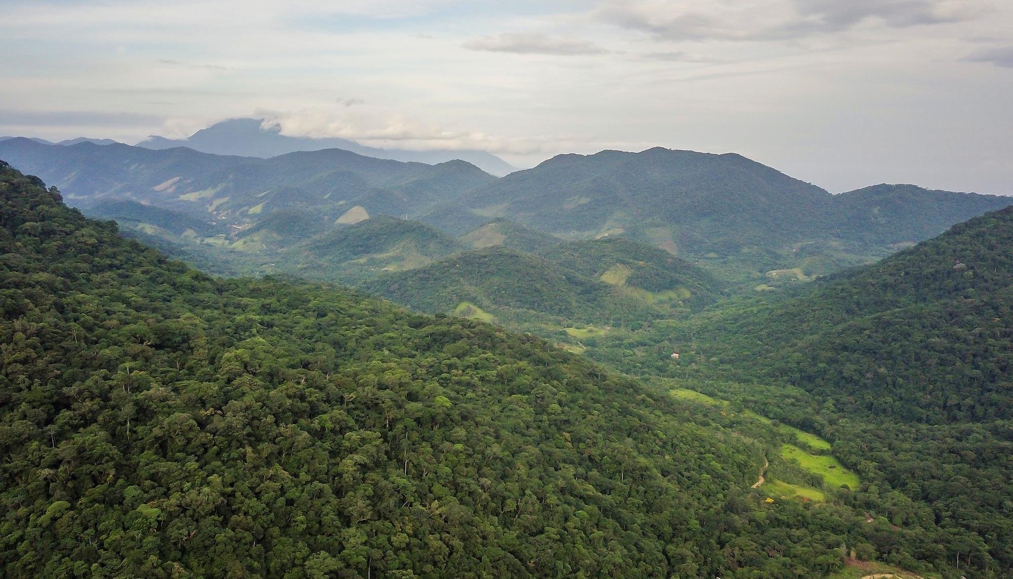 Mata Atlántica Brasil